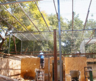 توسعة لمنطقة بيت الاسود في حديقة الحيوانات الوطنية