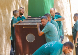 وصول اسد ولبؤتين لحديقة الحيوانات الوطنية في قلقيلية