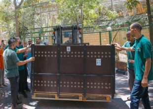 وصول اسد ولبؤتين لحديقة الحيوانات الوطنية في قلقيلية