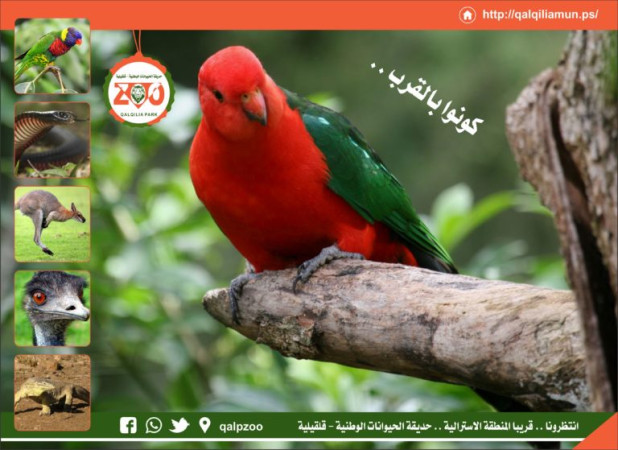 حديقة الحيوانات الوطنية- استمرار أعمال الصيانة وتطوير